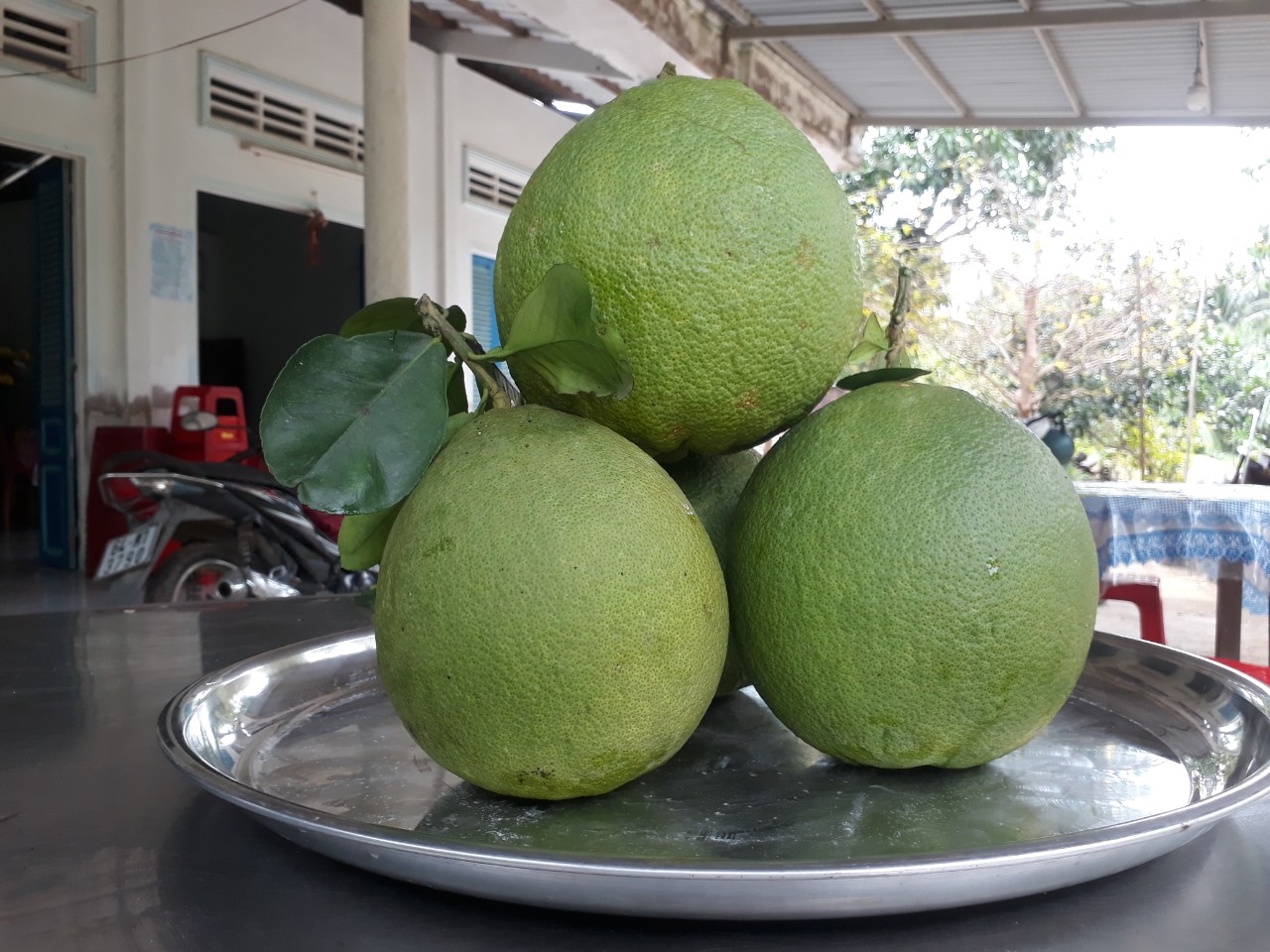 Product Info Image 2