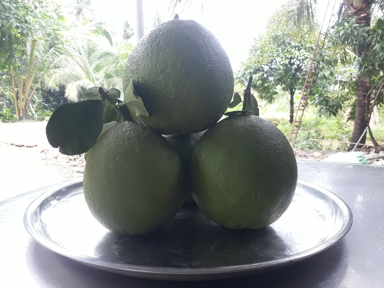 Product Info Image 1