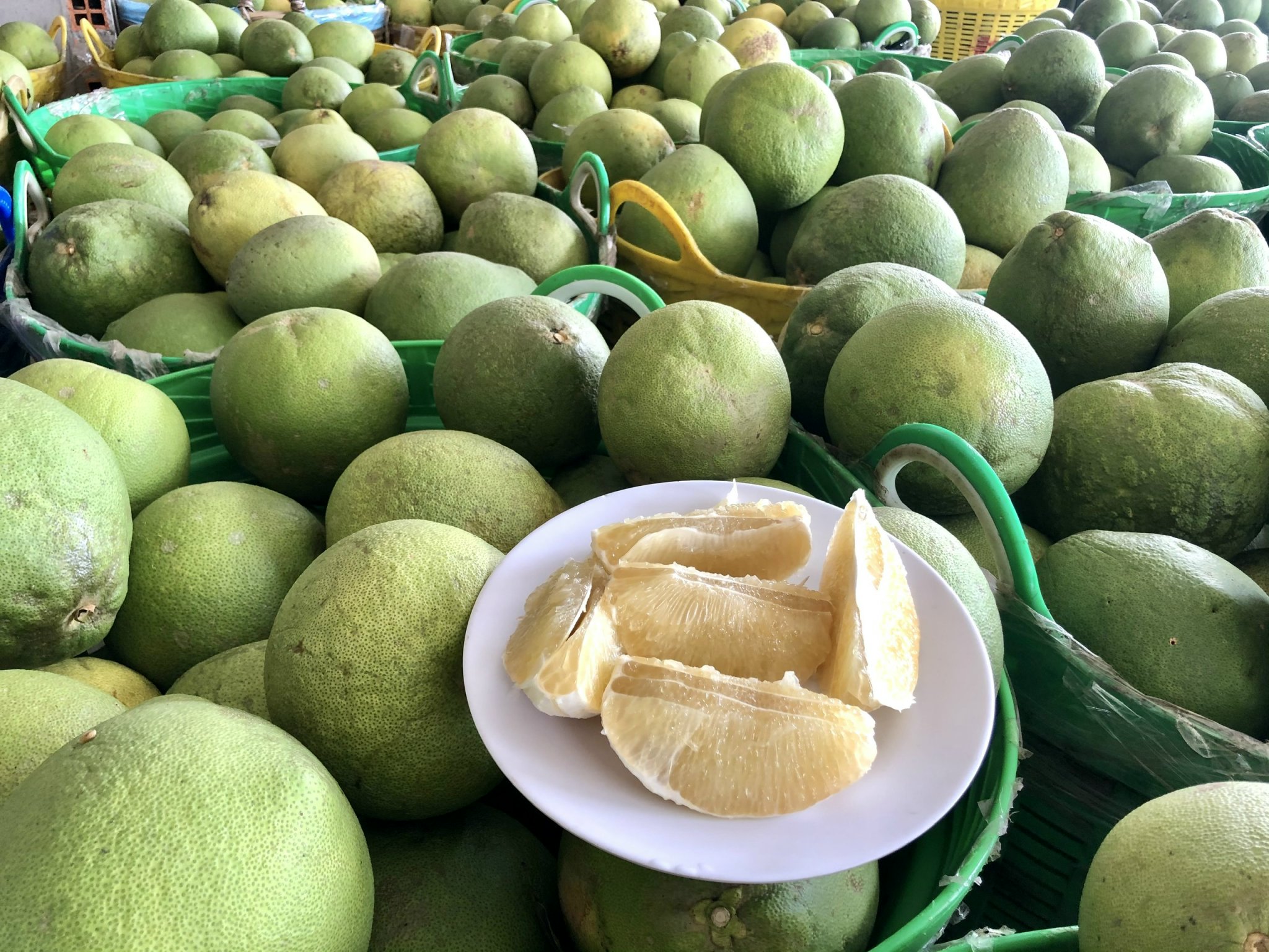 Product Info Image 1