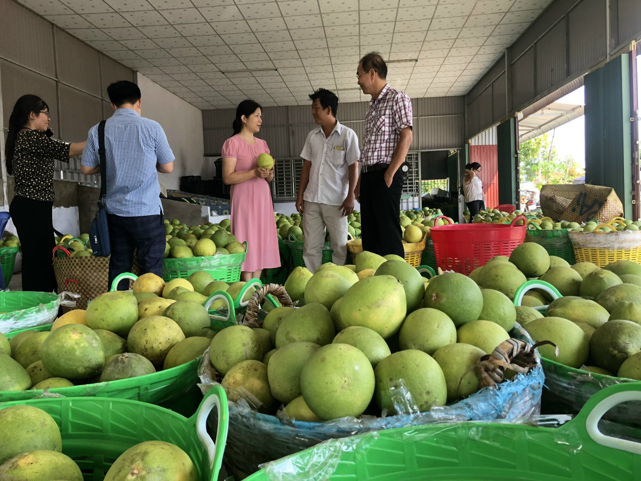 Product Info Image 4