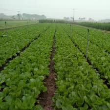 Product Info Image 1