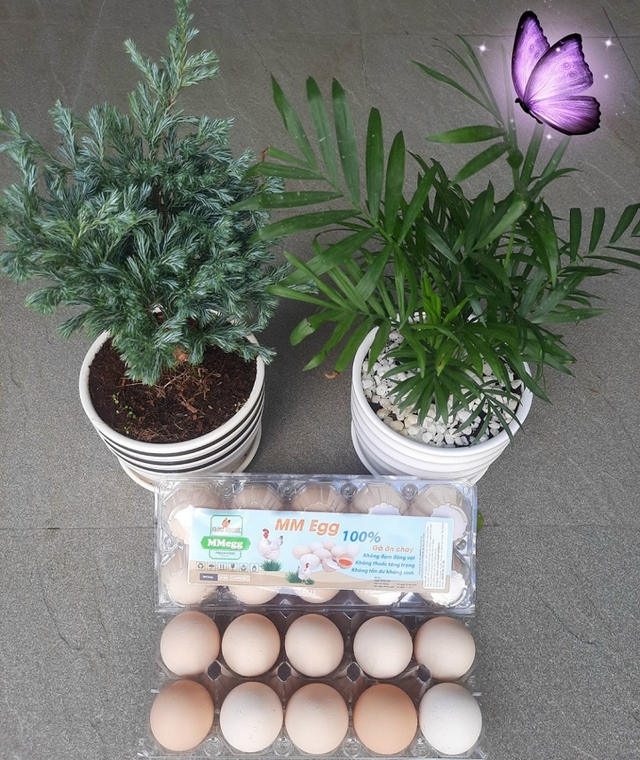 Product Info Image 2