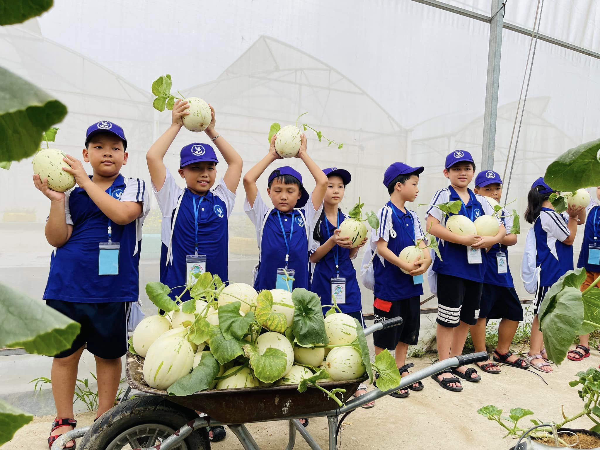 Product Info Image 2