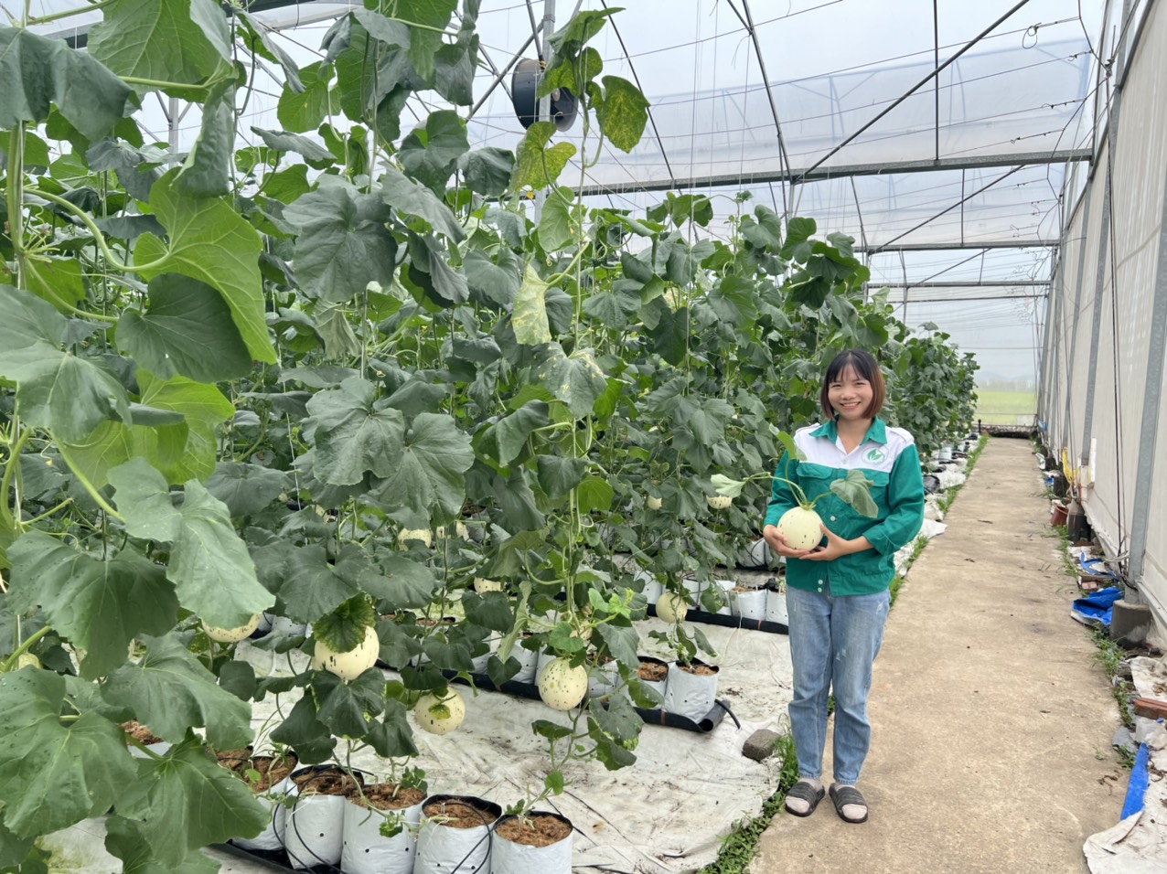 Product Info Image 1