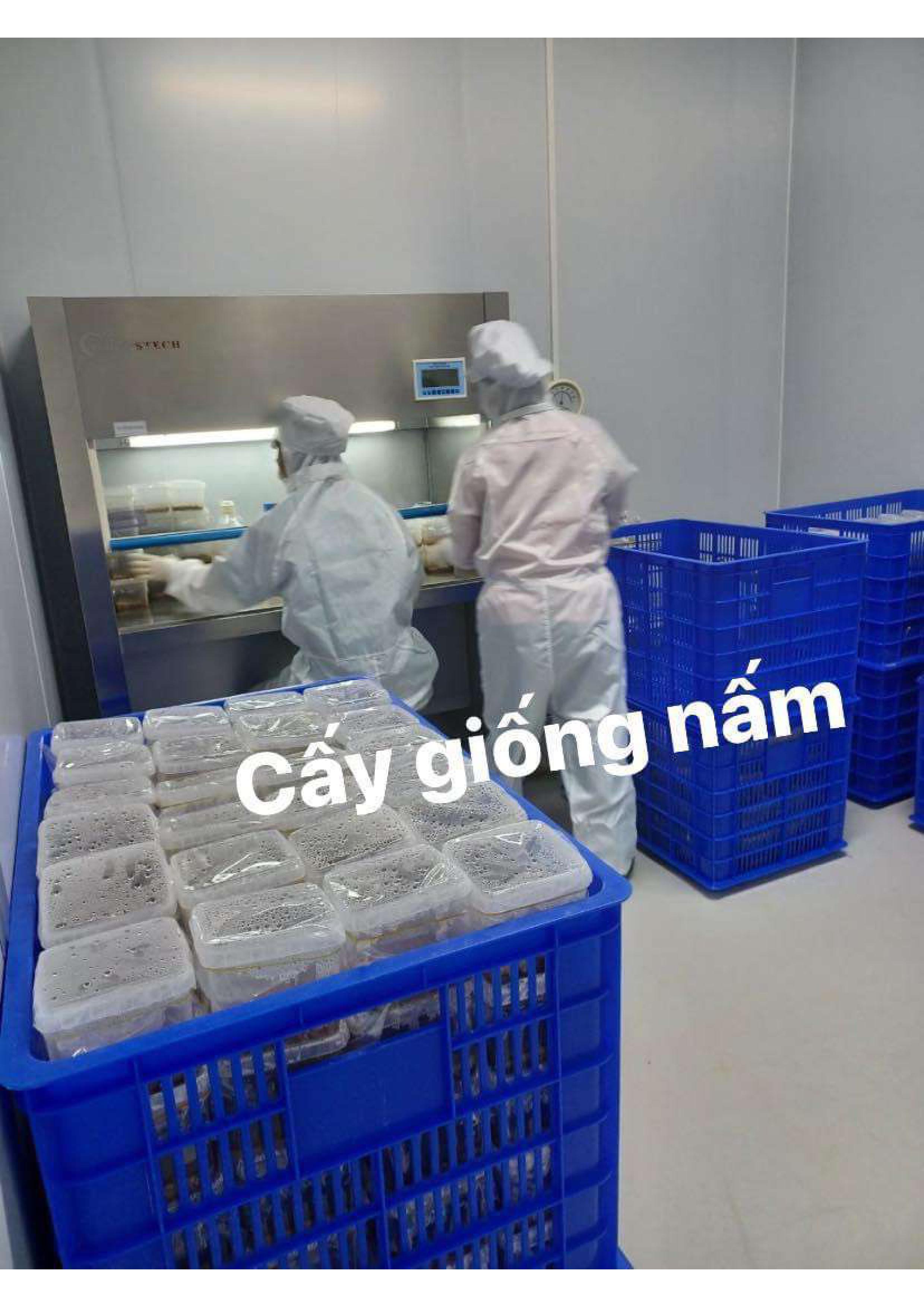 Product Info Image 4