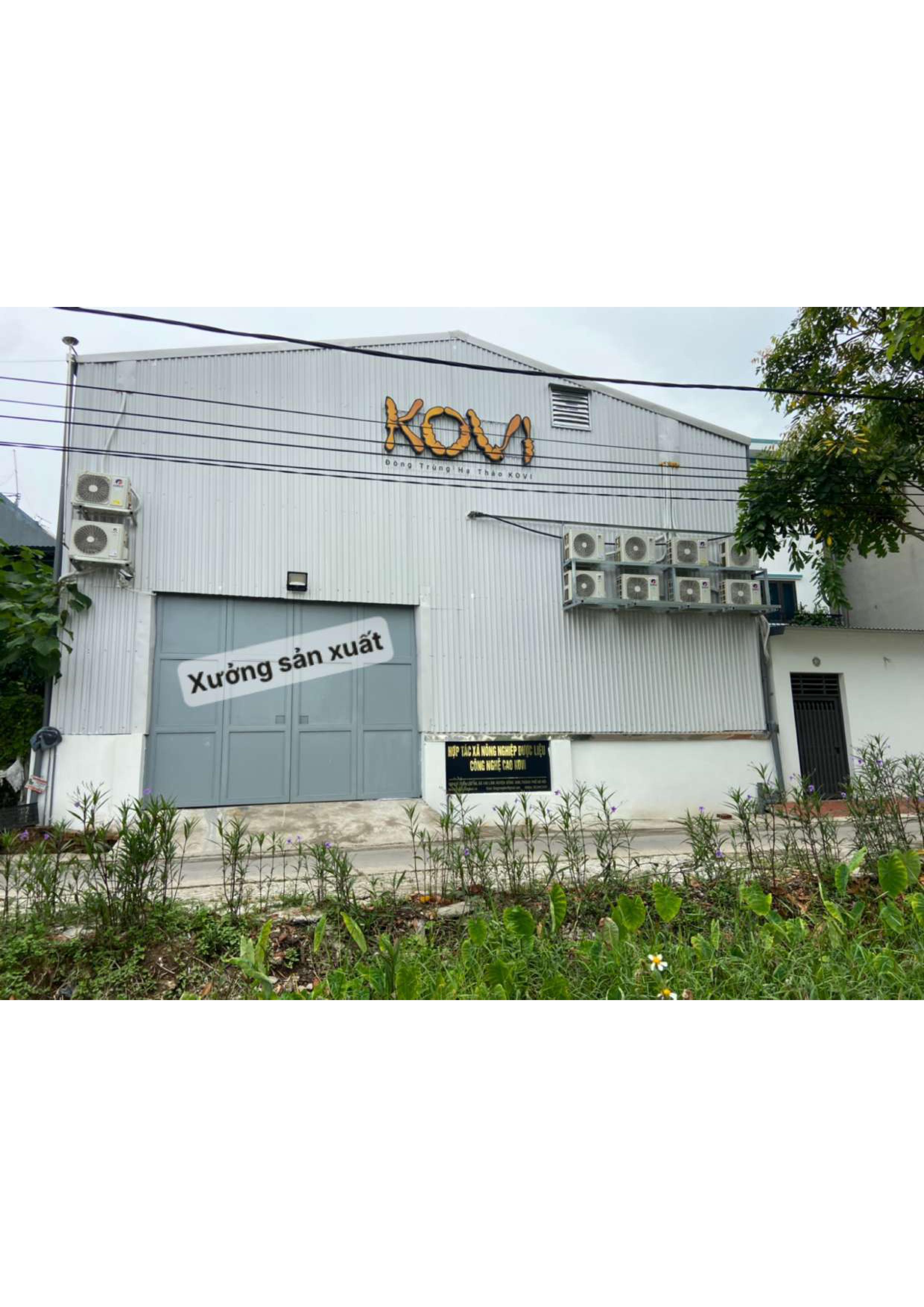 Product Info Image 7