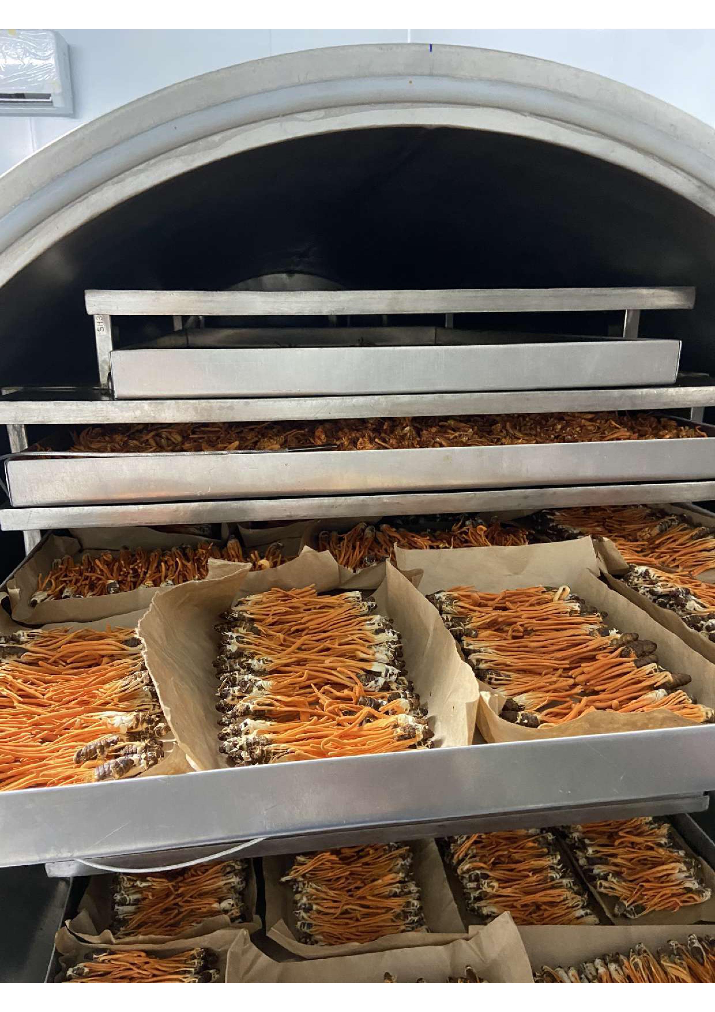 Product Info Image 10