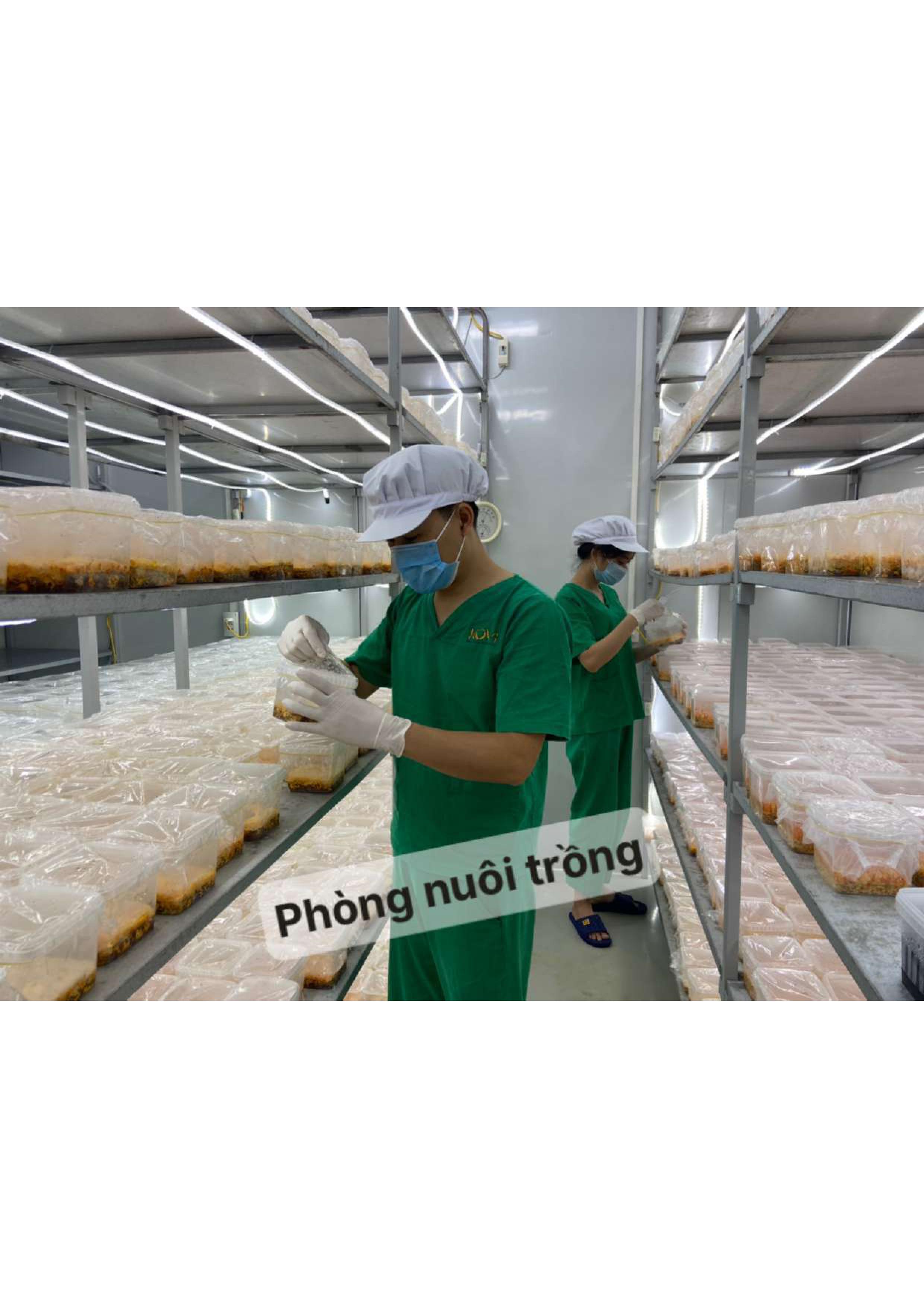 Product Info Image 5