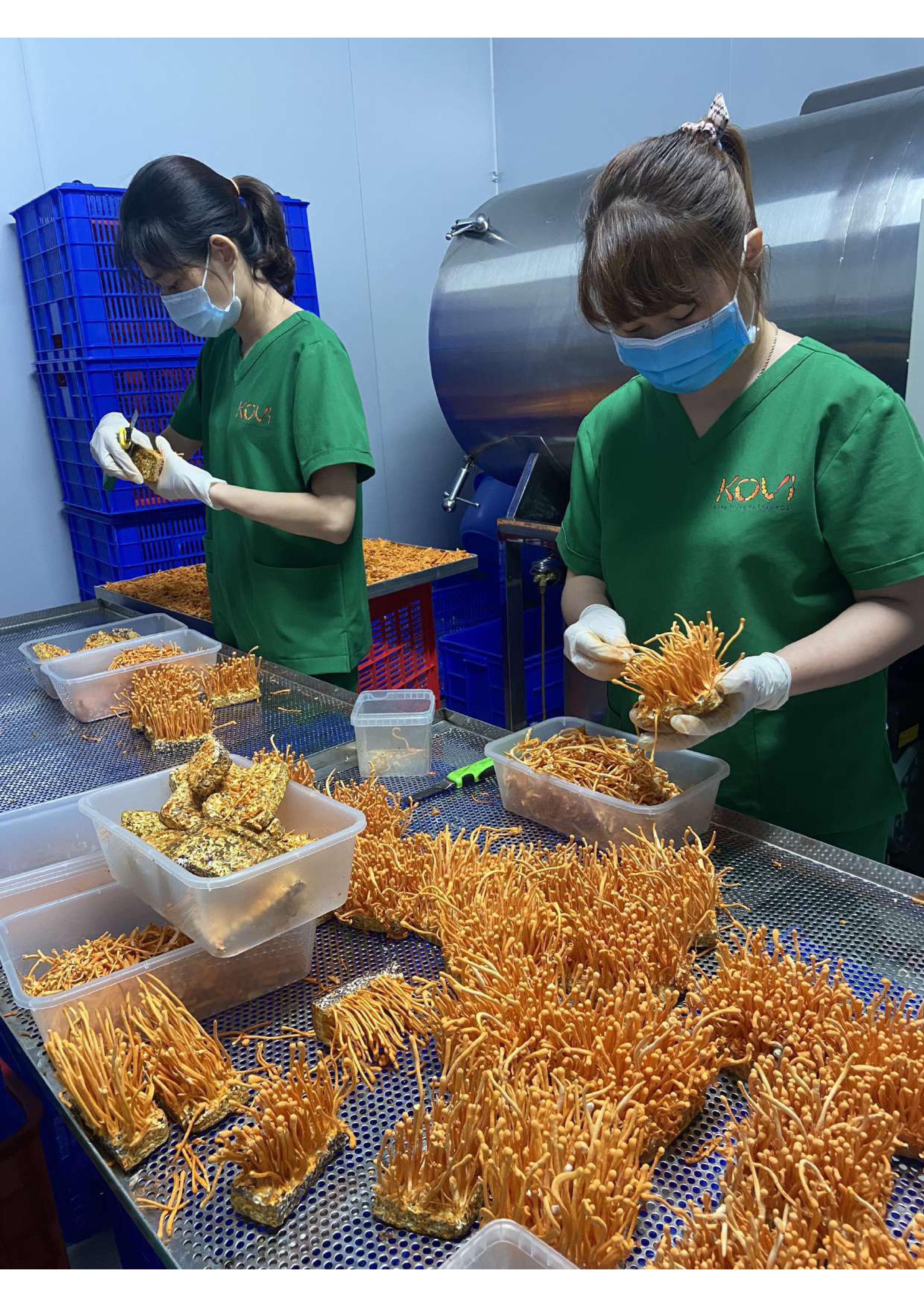 Product Info Image 11