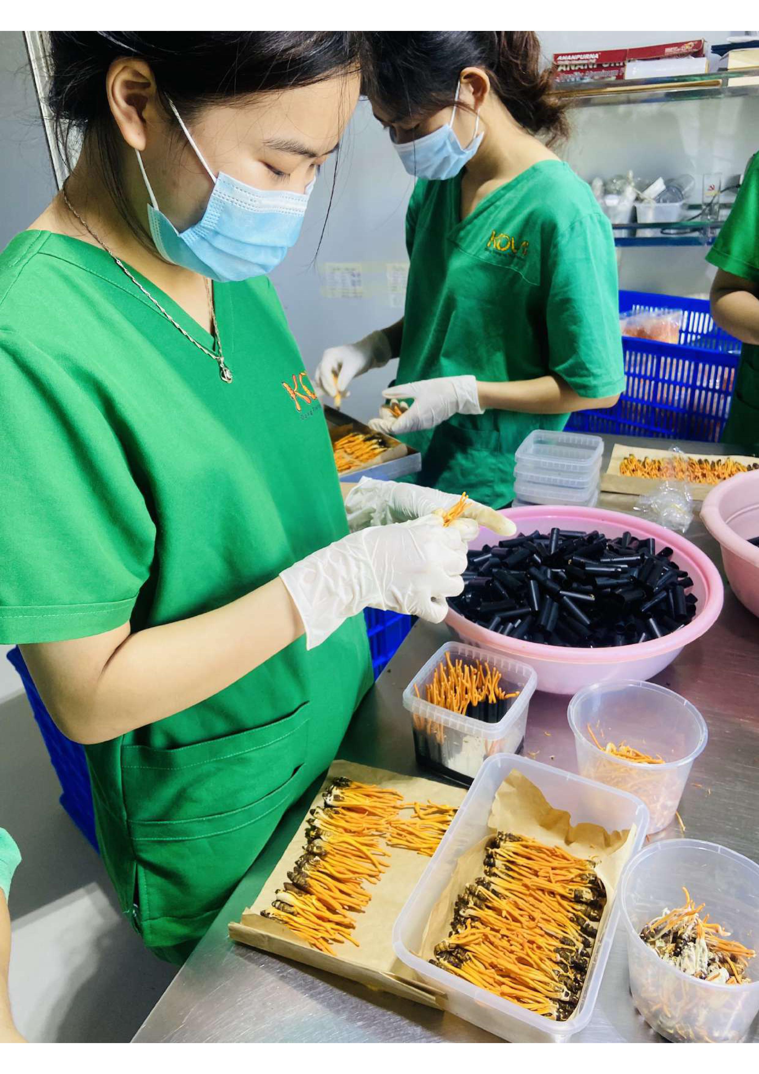 Product Info Image 9