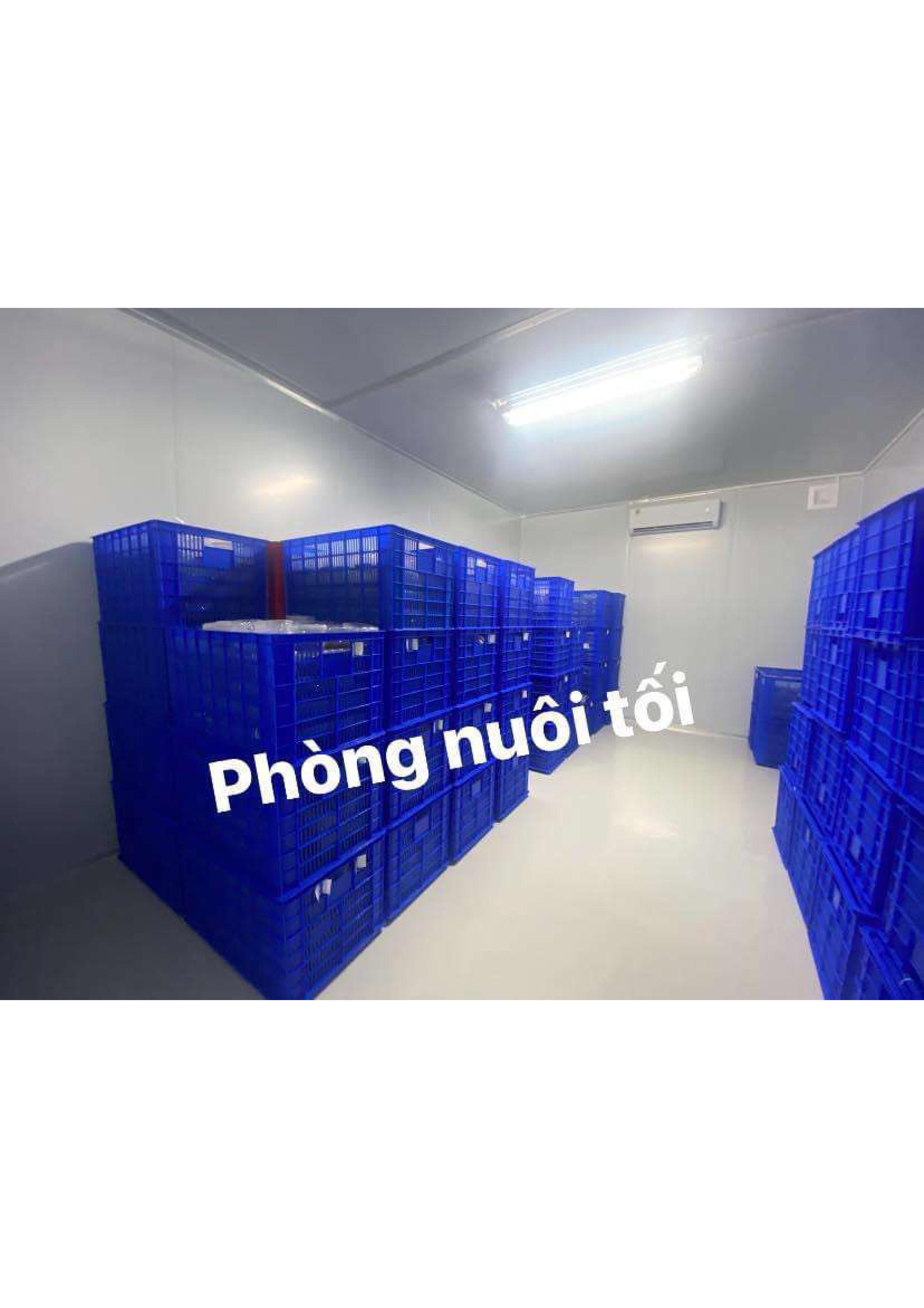 Product Info Image 2