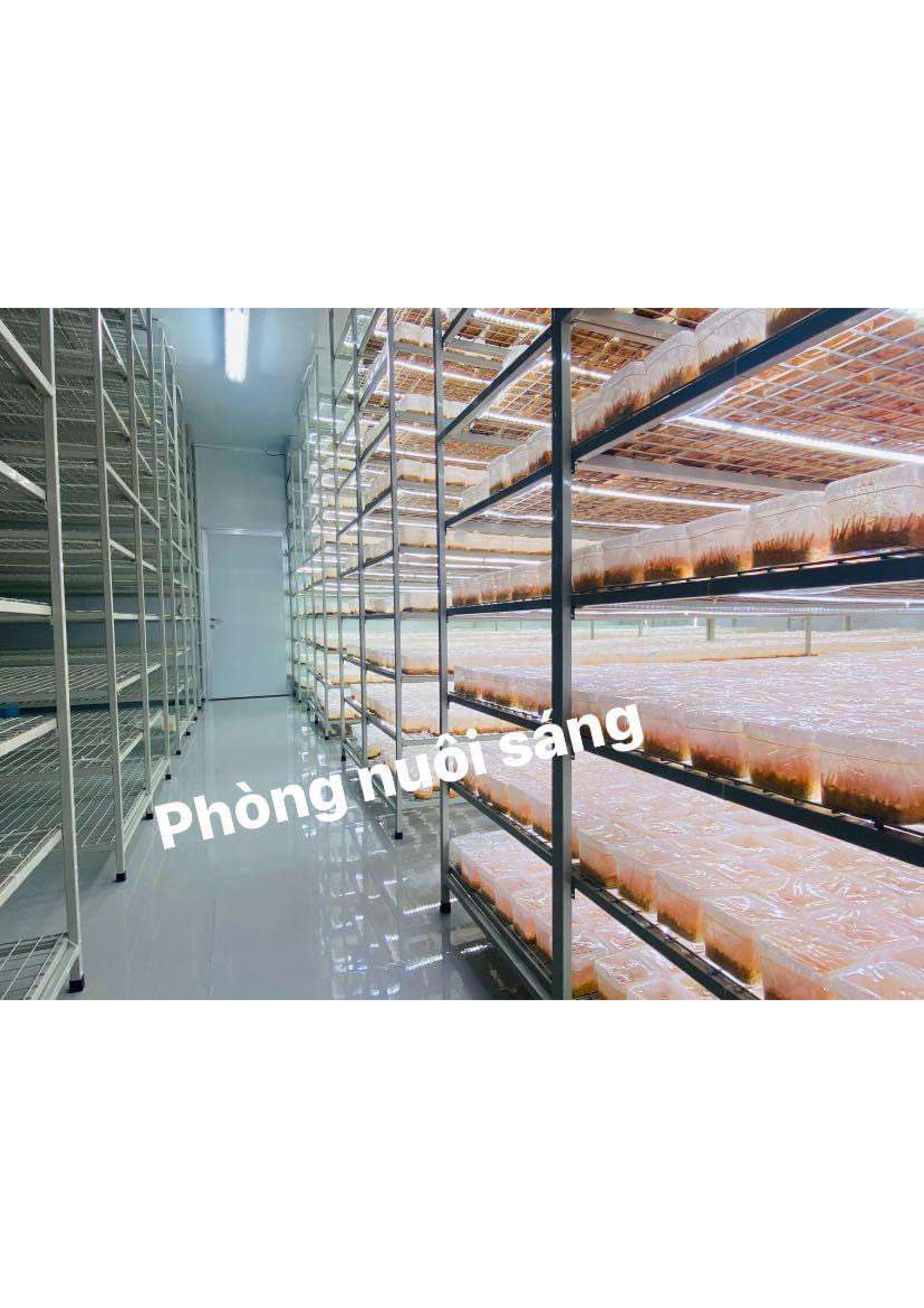 Product Info Image 7