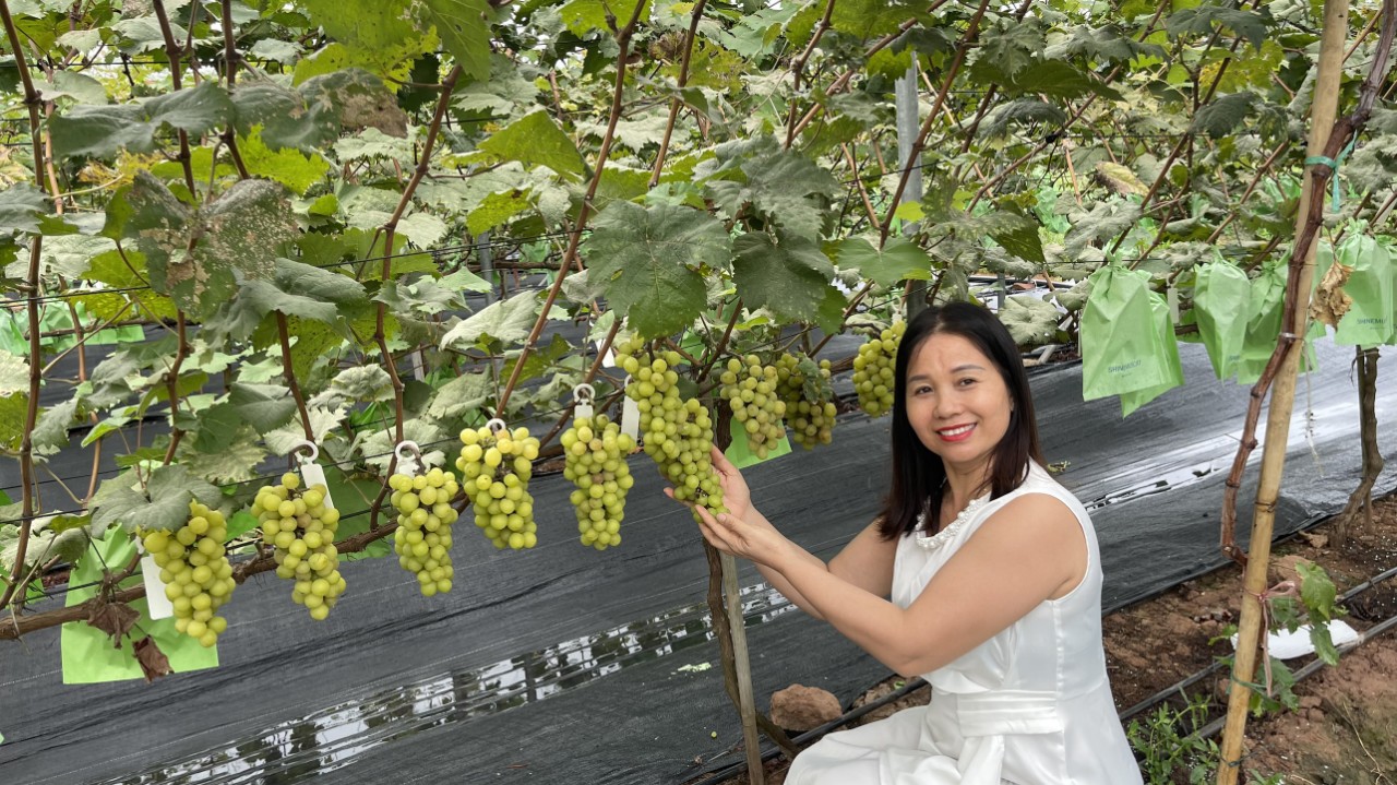 Product Info Image 2