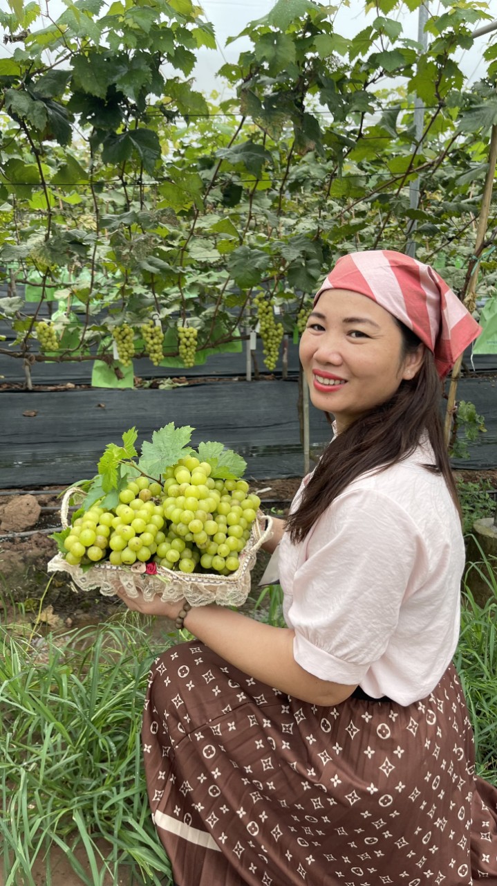 Product Info Image 3