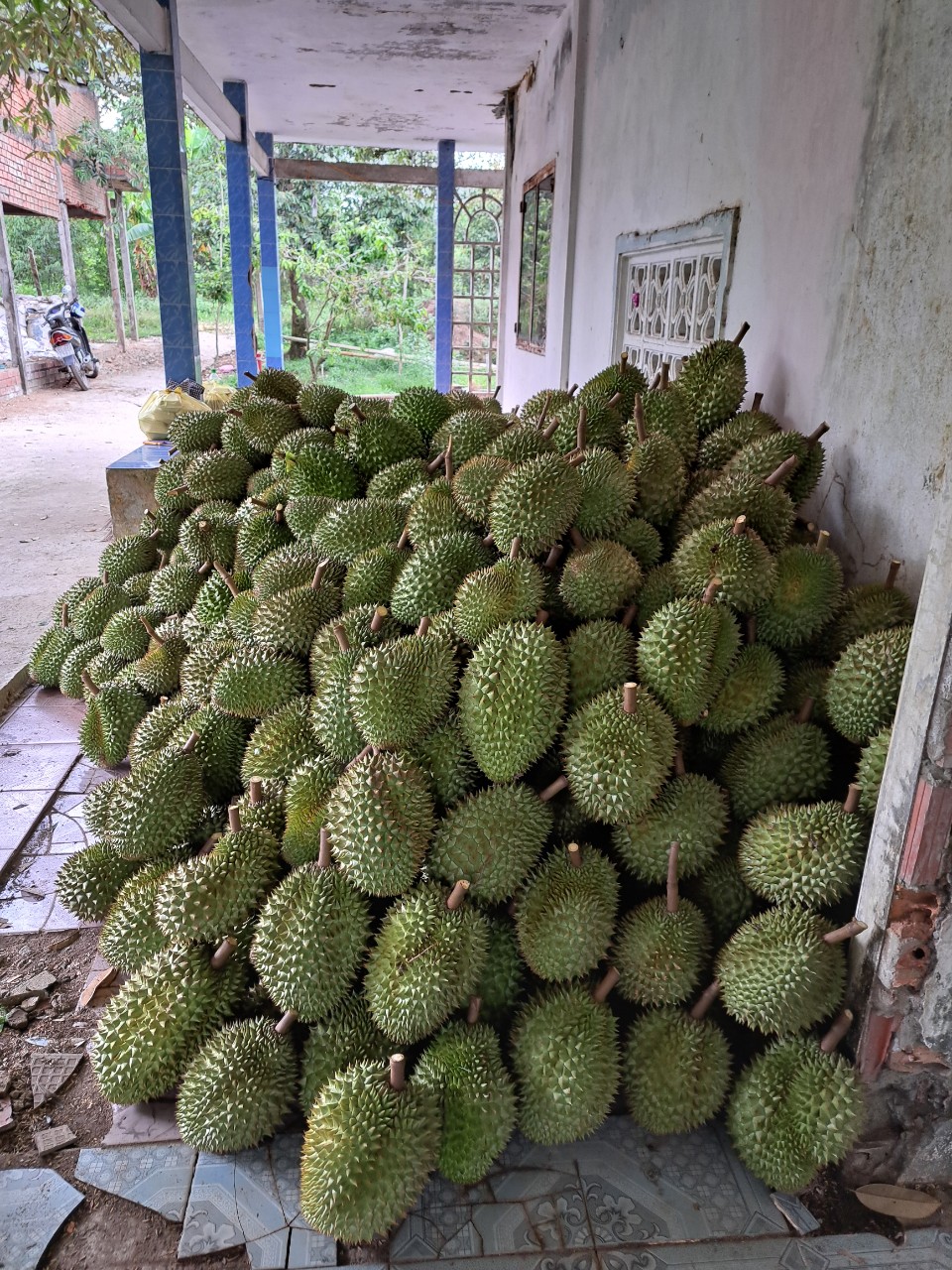 Product Info Image 2