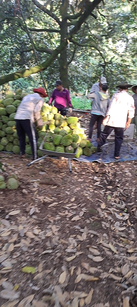 Product Info Image 1