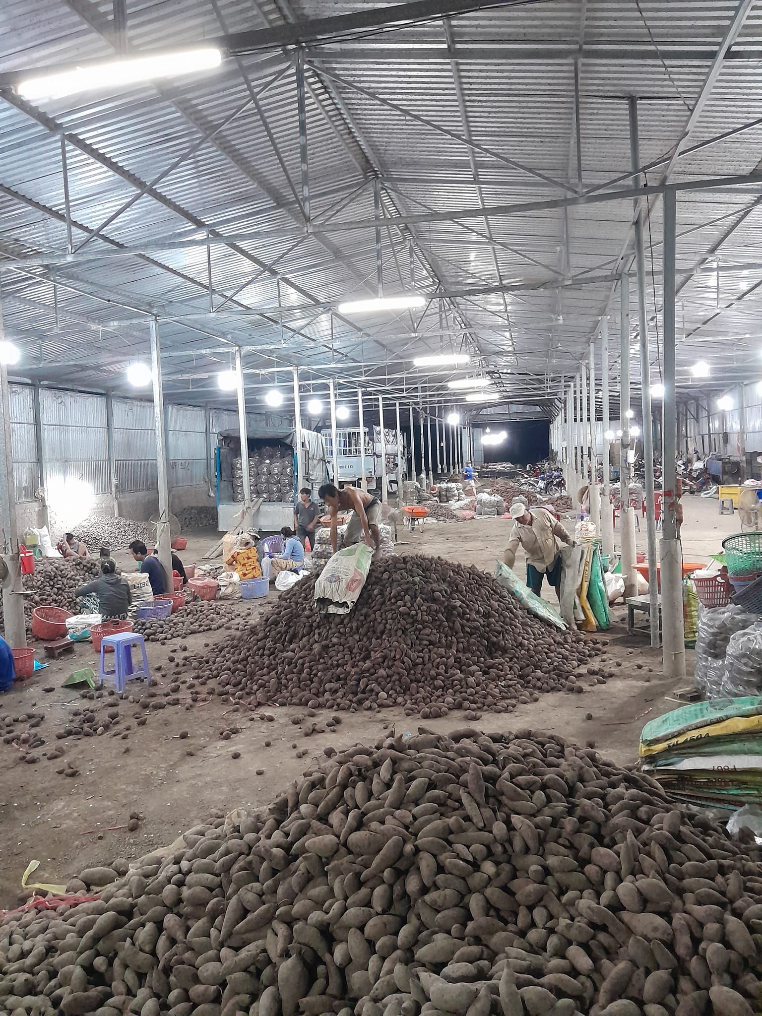 Product Info Image 9