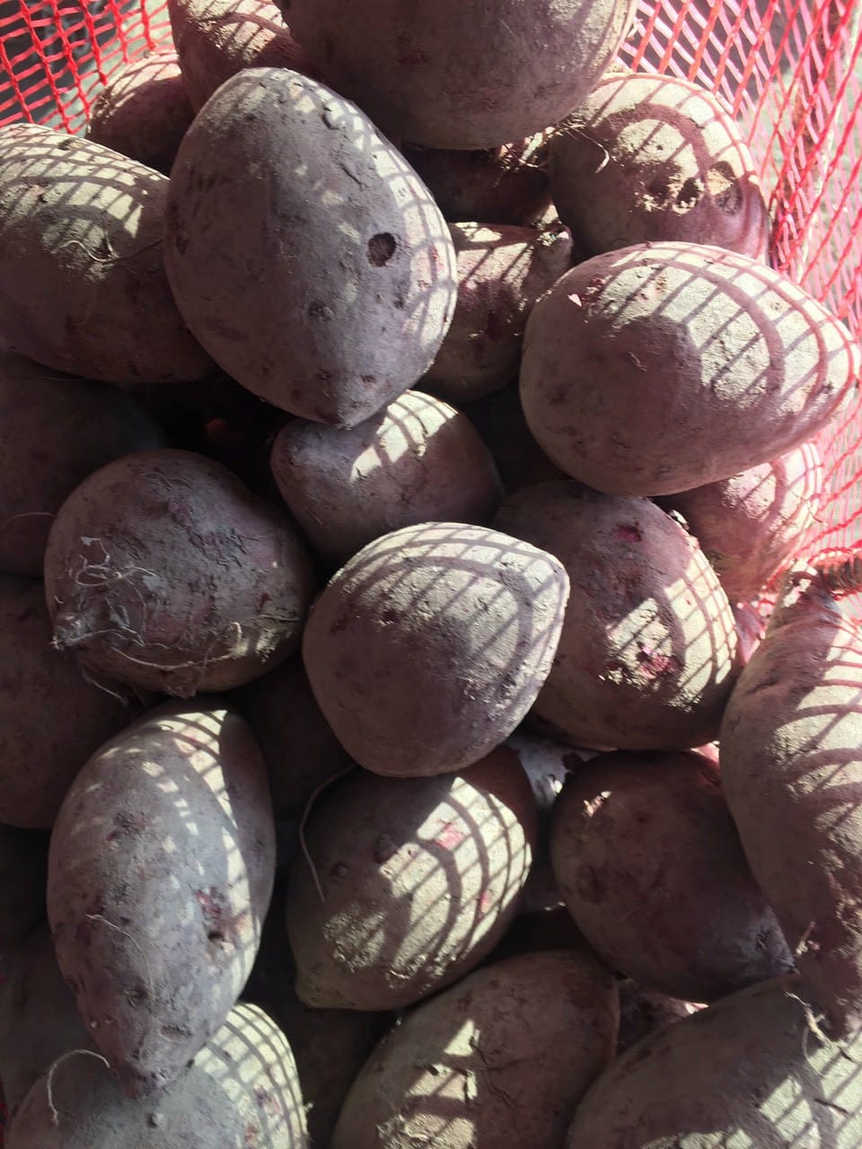 Product Info Image 4