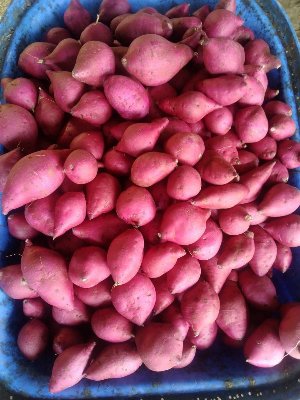 Product Info Image 5