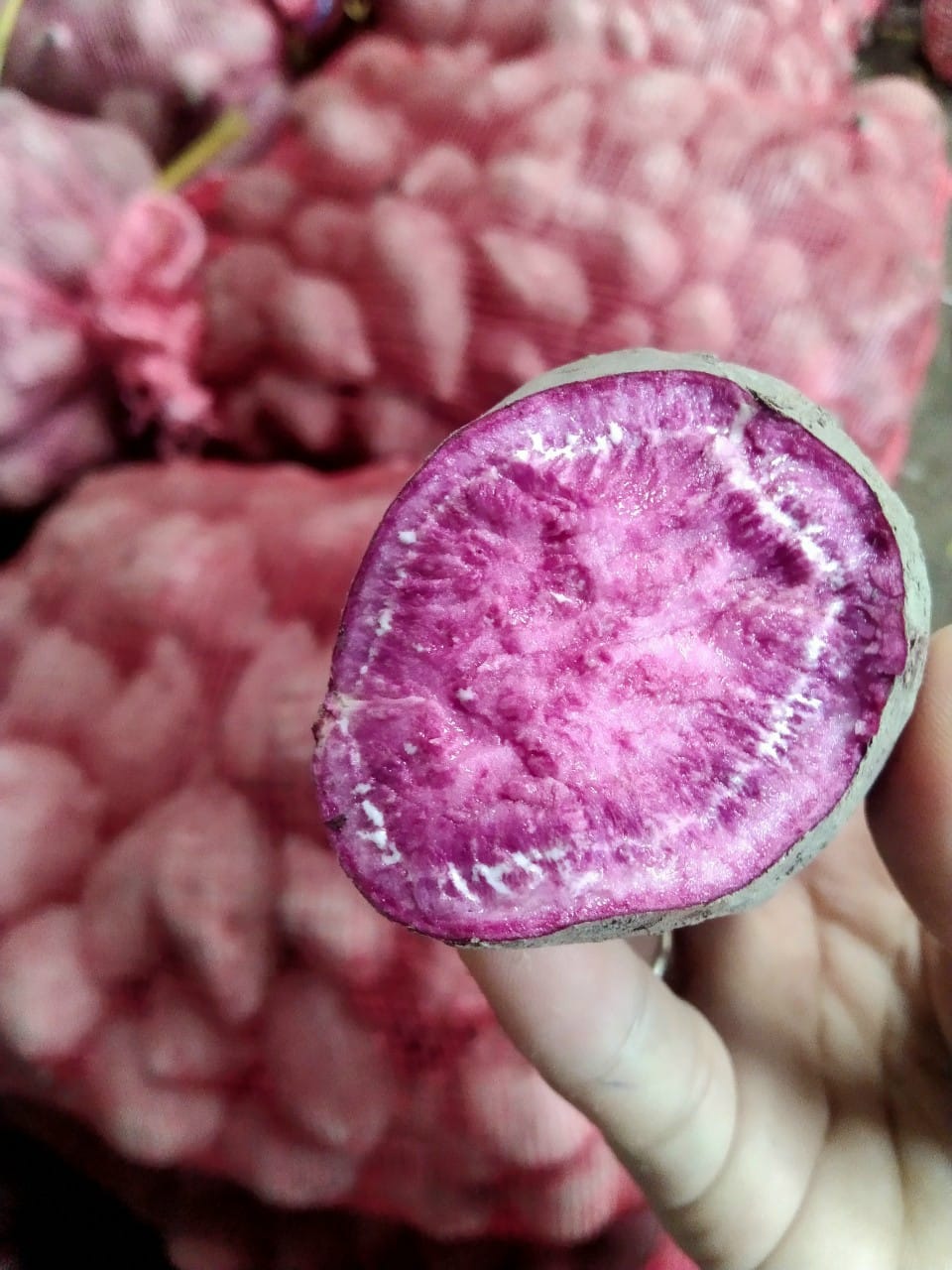 Product Info Image 3