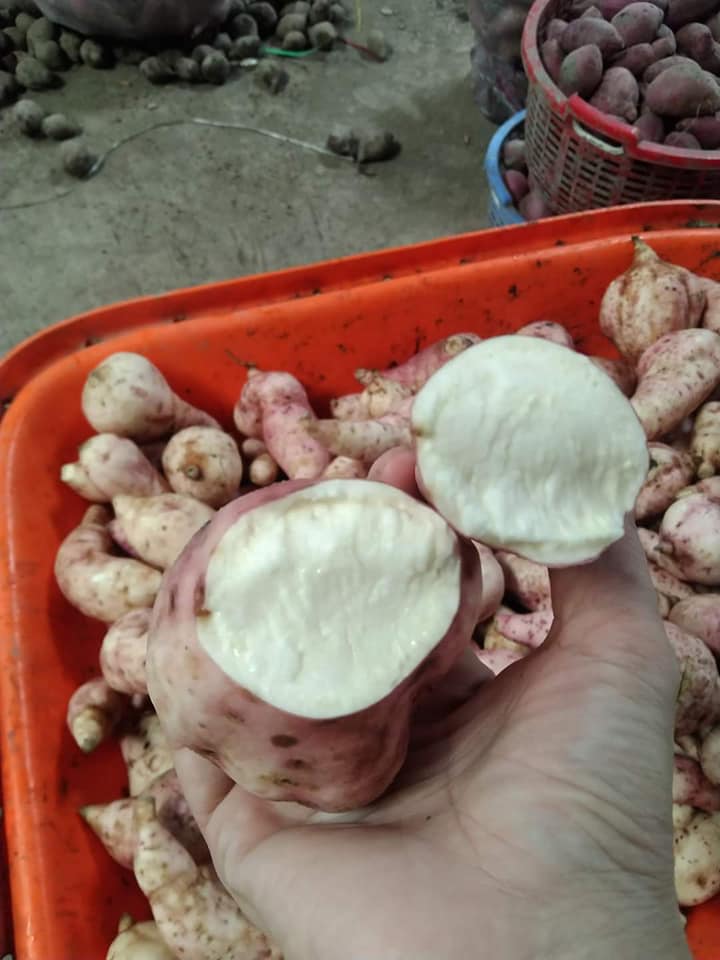 Product Info Image 2