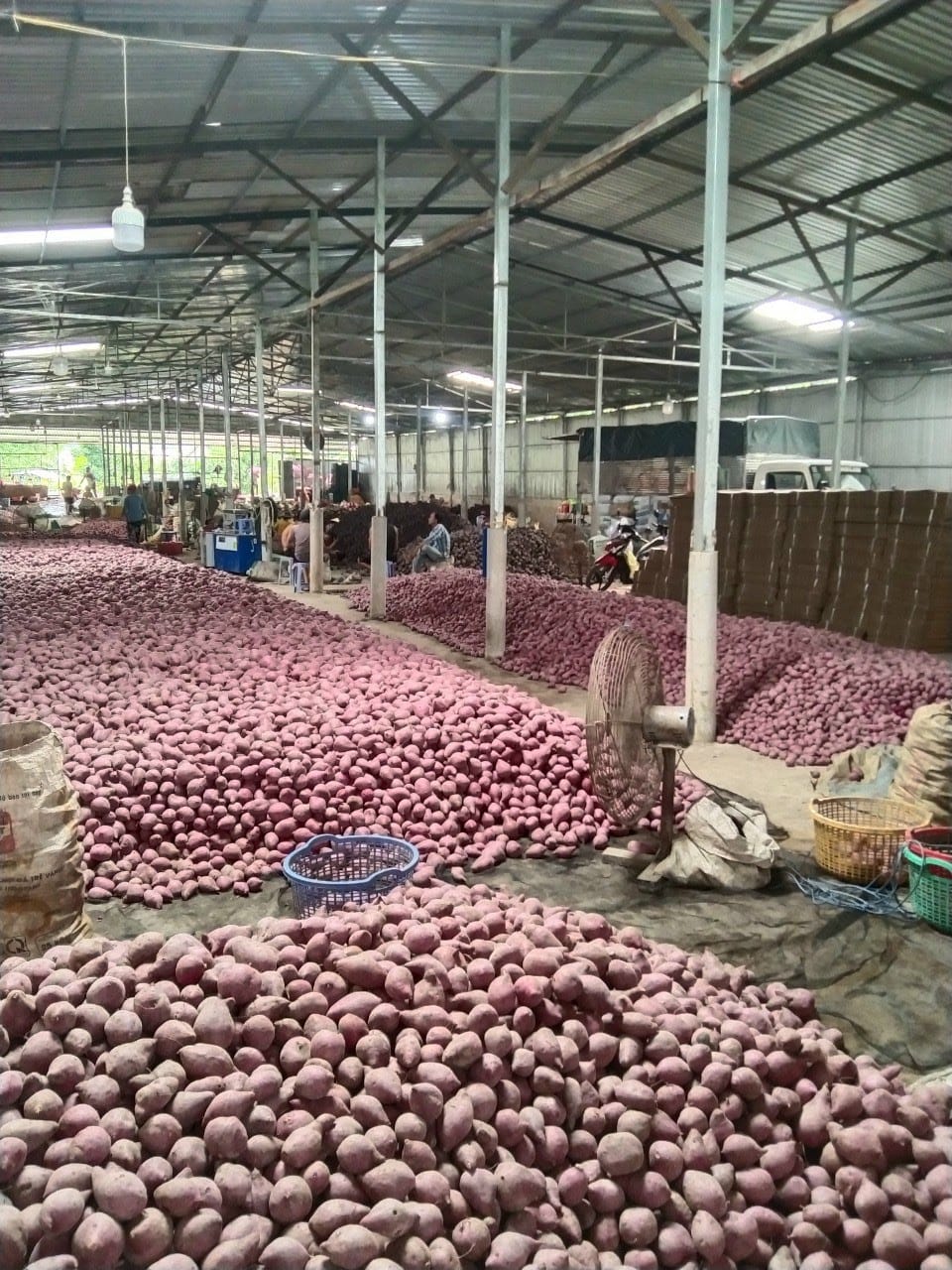 Product Info Image 7