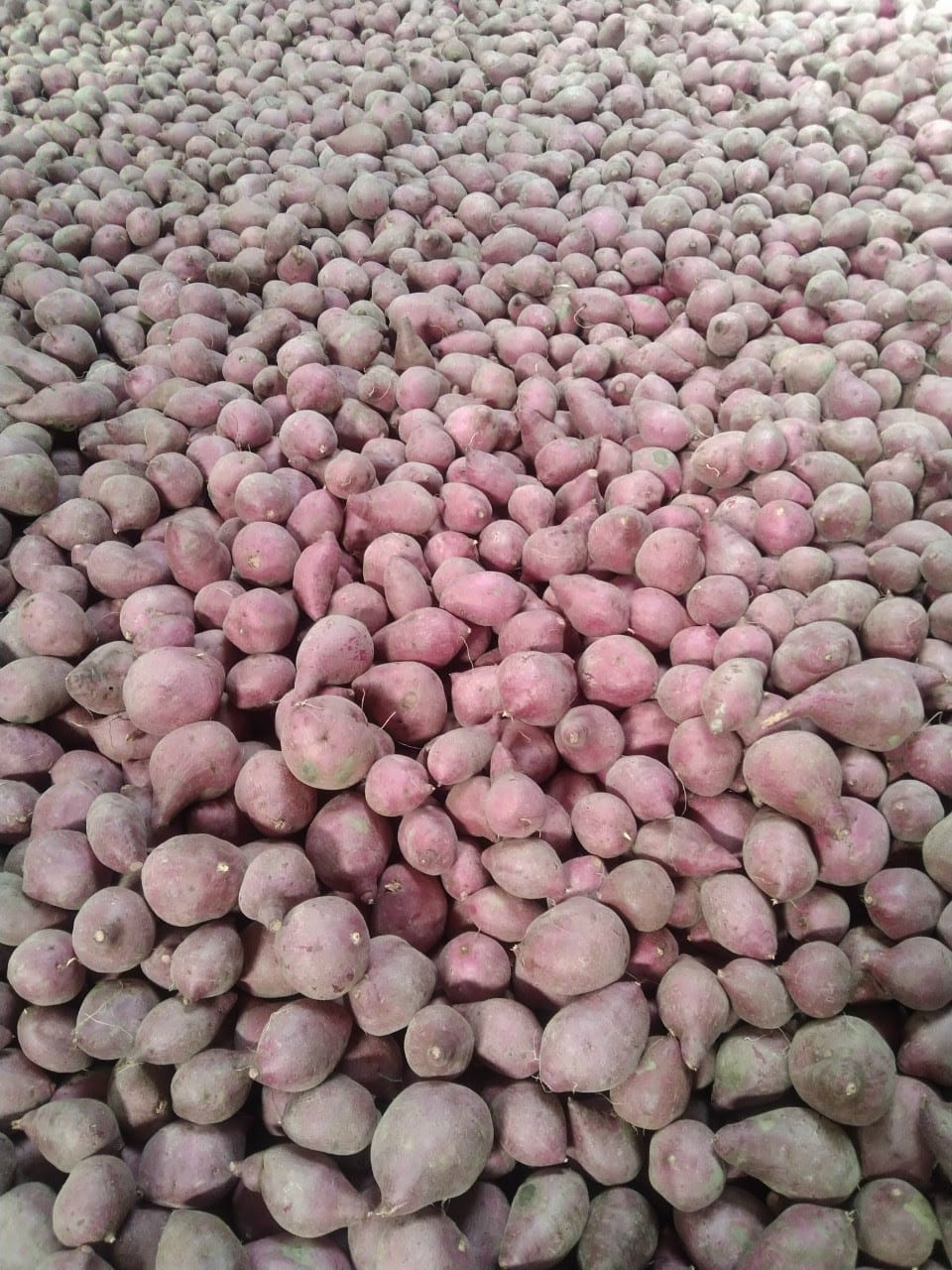 Product Info Image 6