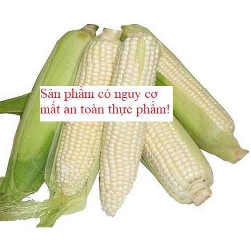 Ngô nếp