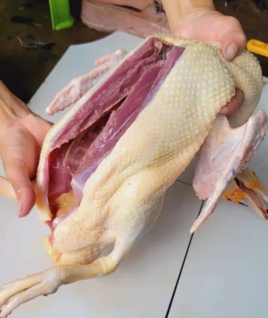 Thịt gia cầm các loại
