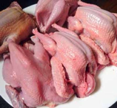 Thịt chim bồ câu