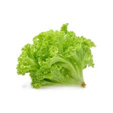 Rau xà lách Vietgap