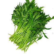 Rau muống vietgap