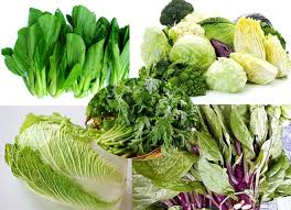 Rau Cải