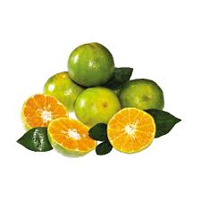 Quýt đường Sài Gòn