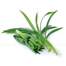 Lá dứa - Lá nếp - Lá thơm