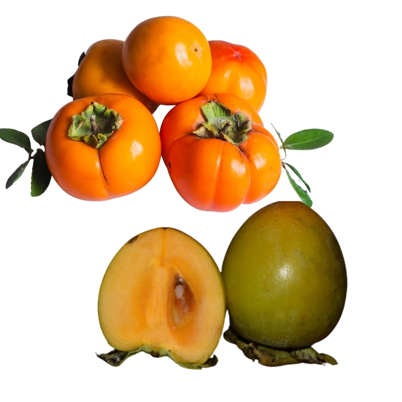 Quả hồng (giòn)