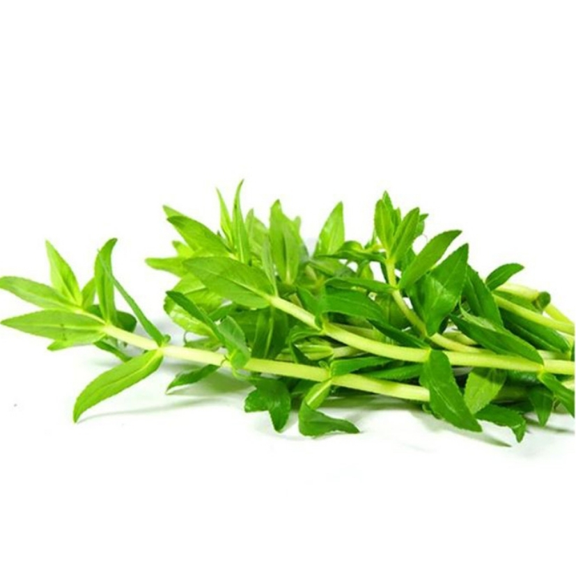 Rau ngổ