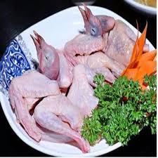 Chim bồ câu