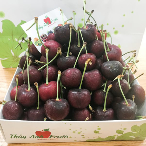 Quả Cherry đỏ