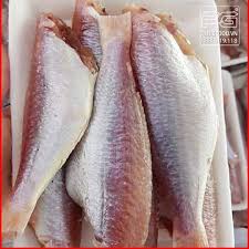 Cá Hồng Phèn 1 nắng