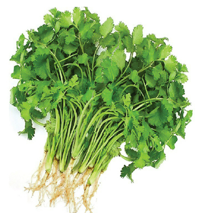 Rau mùi