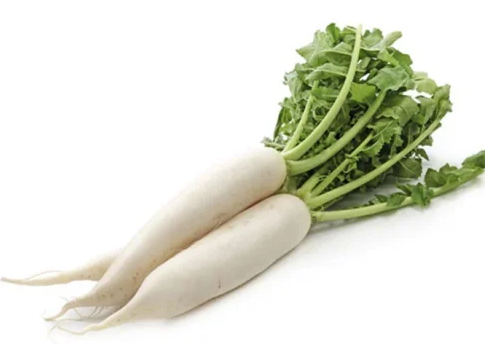 Củ cải hữu cơ - Vinh Hà