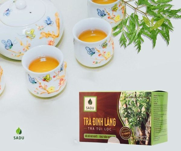 Trà Đinh Lăng túi lọc