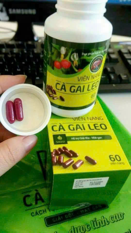 Viên nang cà gai leo