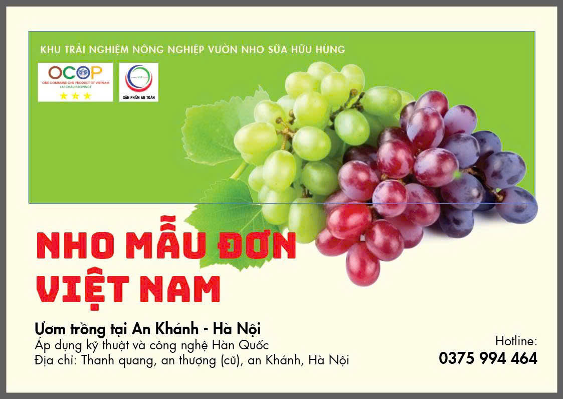 Nho mẫu đơn Việt Nam