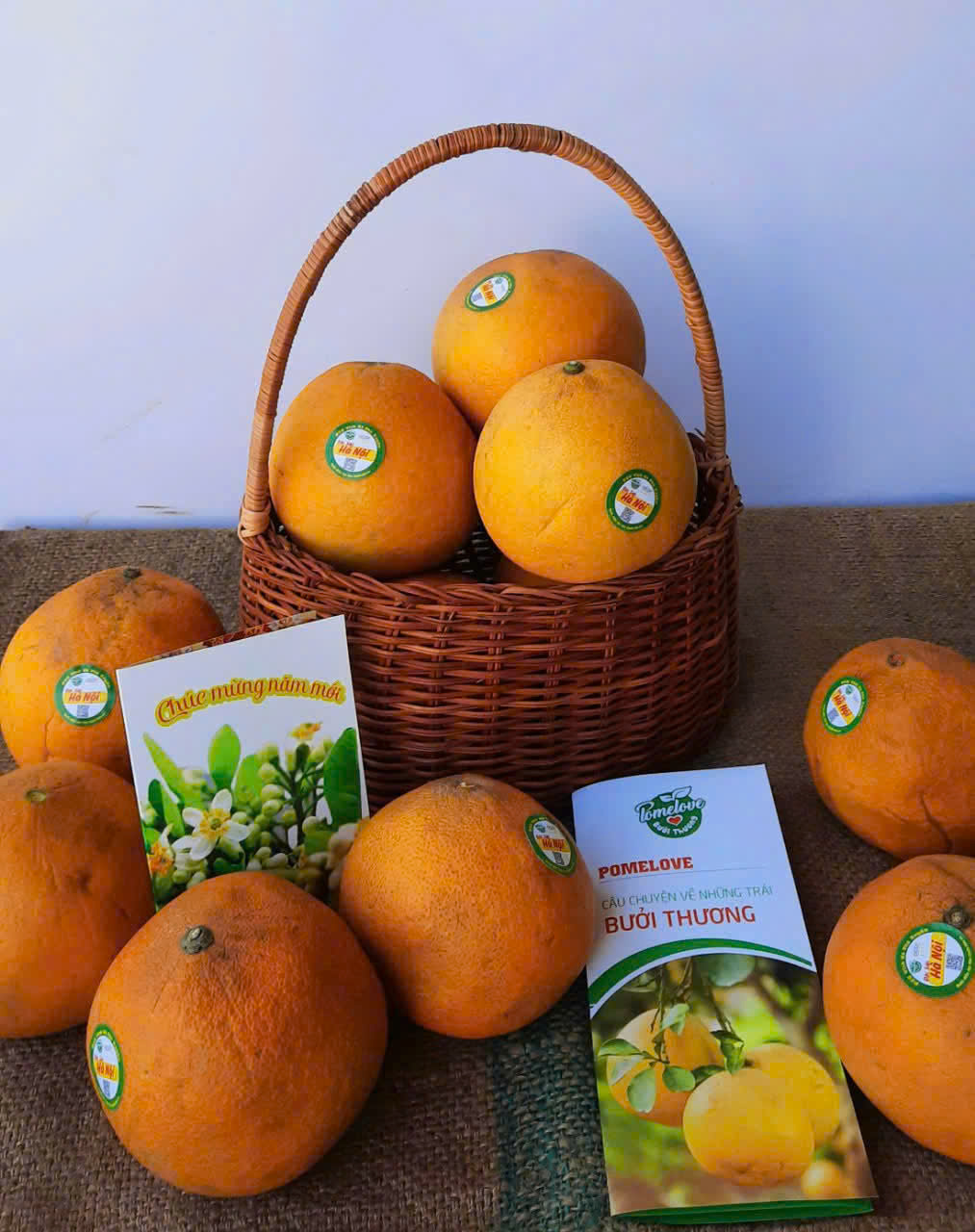 Bưởi Diễn hữu cơ - Vinh Hà