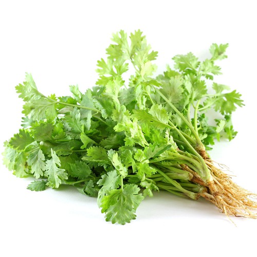Rau mùi ta