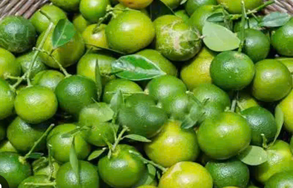 Quả quất