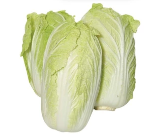 Cải thảo - Hải Anh