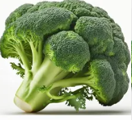 Súp lơ xanh - Hải Anh